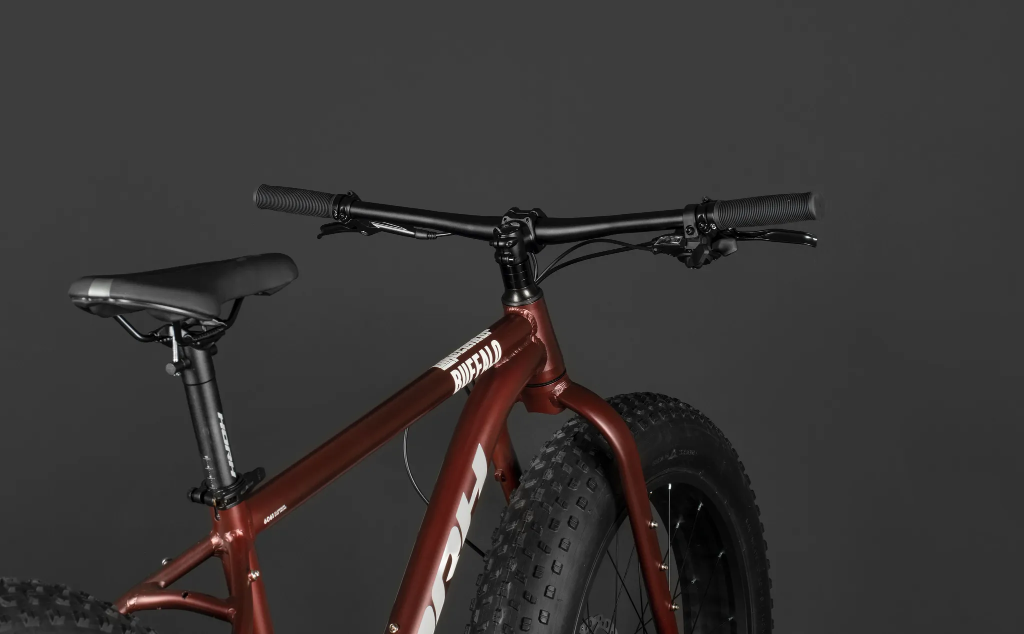 Велосипед HORH BUFFALO BFL26 BRW/WT 26" 2025 Brown-White